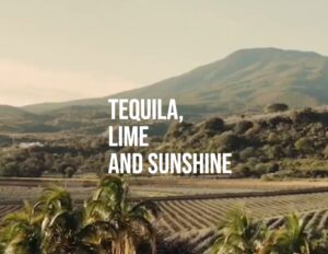 Die besten Tequila Sprüche: Tequila, Lime and Sunshine