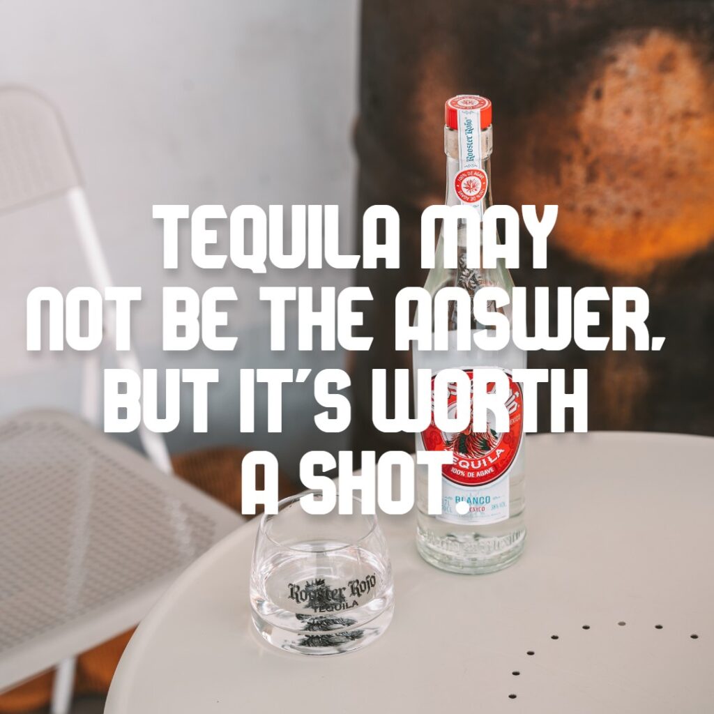 tequila quote: tequila may not be the answer but it's worth a shot.