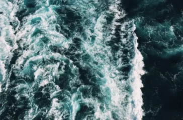 The Gulf of Mexico: Aktuelle Diskussion, Besonderheit, Merchandising und T-Shirts