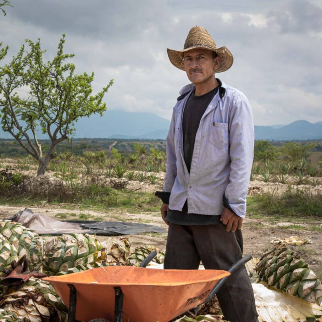 mezcal yuu baal feld