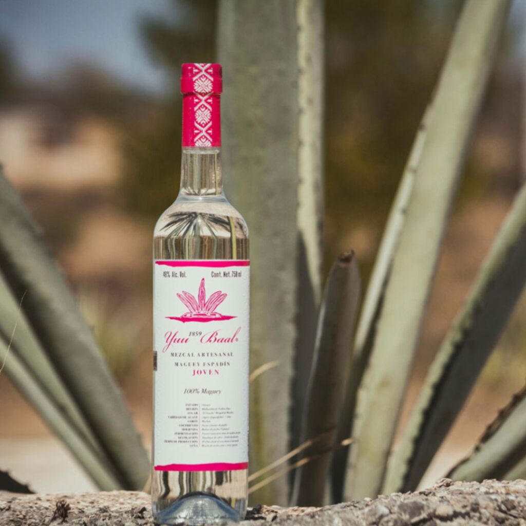 mezcal yuu baal espadin joven