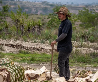mezcal yuu baal oaxaca