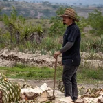 mezcal yuu baal oaxaca