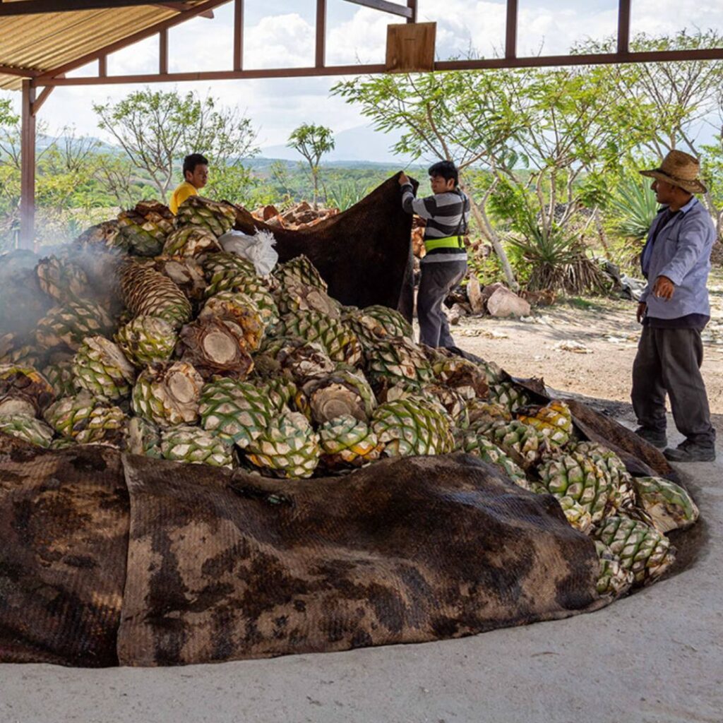 mezcal yuu baal produktion