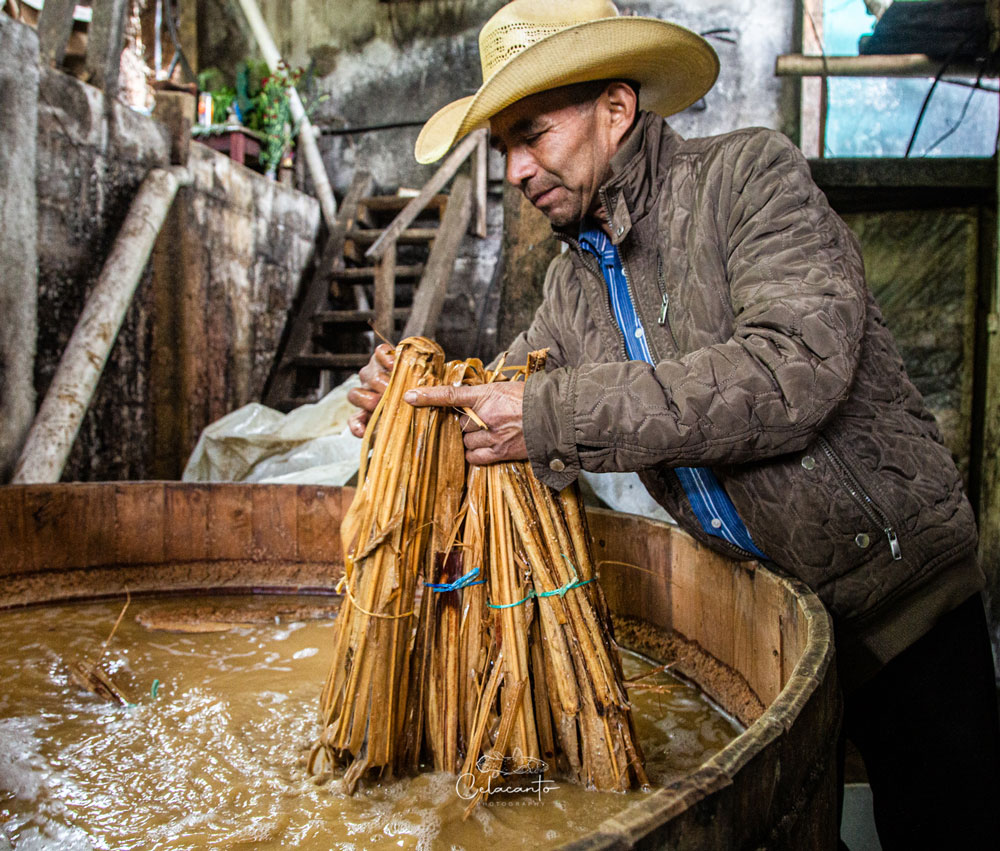 pox siglo cero herstellung