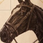 Arette Tequila Review